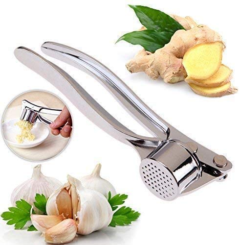 Bestic Garlic Paste Maker